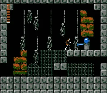 Castlevania II - Simon's Quest (USA) screen shot game playing